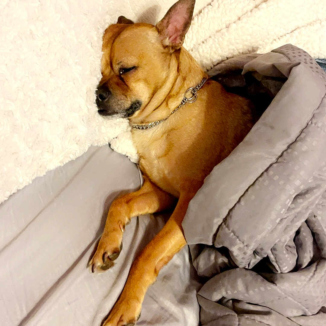 Buster