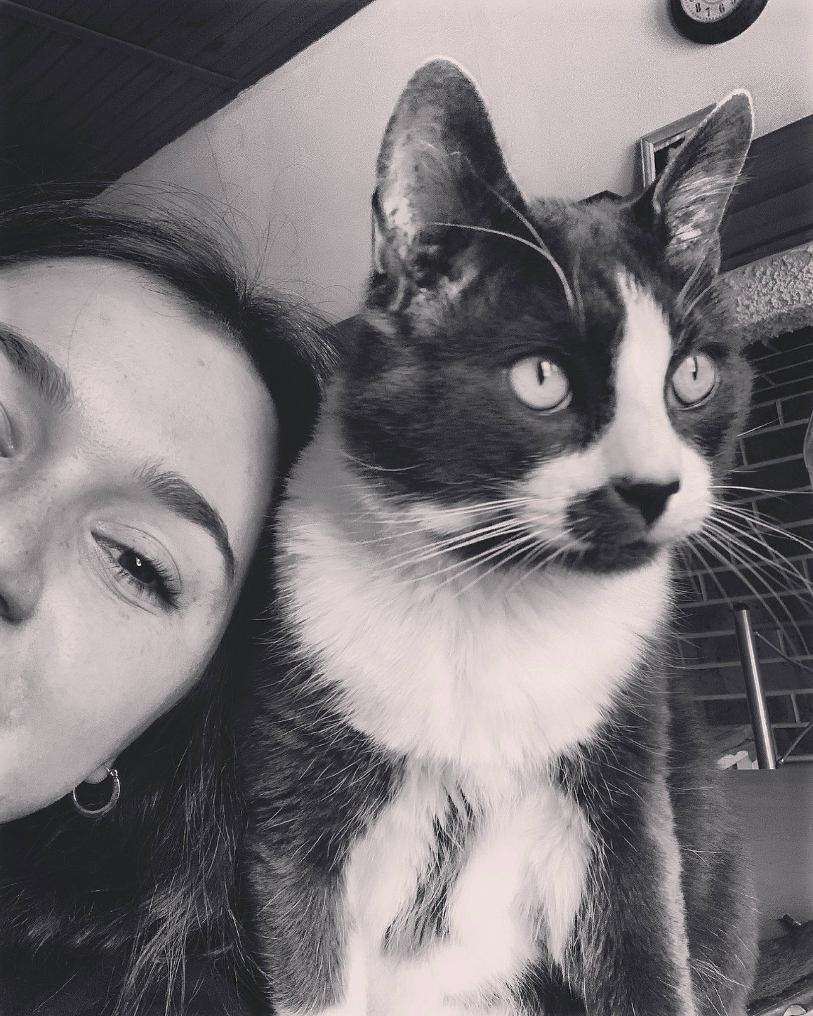 Pataud participe au concours pour gagner de l'argent avec cette photo : asian, black_and_white, carnivore, cat, domestic_short_haired_cat, eye, face, felidae, fur, hair, head, kitten, monochrome, nose, photography, selfie, small_to_medium_sized_cats, snapshot, tabby_cat, whiskers