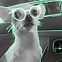 animal, car, closeup, cute, dog, eyewear, fur, futuristic, indoor, light_effect, neon_outline, pet, portrait, seat, small_dog, stylized, sunglasses, vehicle_interior, whiskers, window
