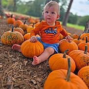 Jonah is registered to the contest to win money with this photo: baby, child, toddler, pumpkin, pumpkin_patch, autumn, fall, outdoor, farm, nature, orange, sitting, portrait, smiling, blonde_hair, blue_eyes, orange_shirt, blue_shorts, bare_feet, daylight