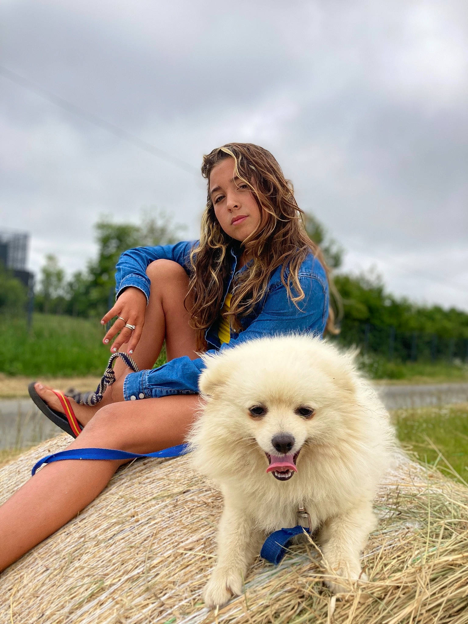 Slovani a rejoint le concours — aidez-le/la à gagner de superbes lots ! blond, carnivore, cloud, companion_dog, dog, dog_breed, electric_blue, face, fawn, german_spitz, grass, happy, leisure, person, sky, smile, spitz, sporting_group, street_fashion, sunglasses