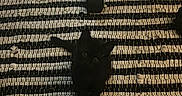 October is registered to the contest to win money with this photo: black_cat, kitten, striped_rug, indoor, floor, office_chair, wheel, pet, animal, small, curious, looking_up, texture, pattern, black, white, cozy, home, furniture, domestic