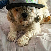 Tidji participe au concours pour gagner de l'argent avec cette photo :
