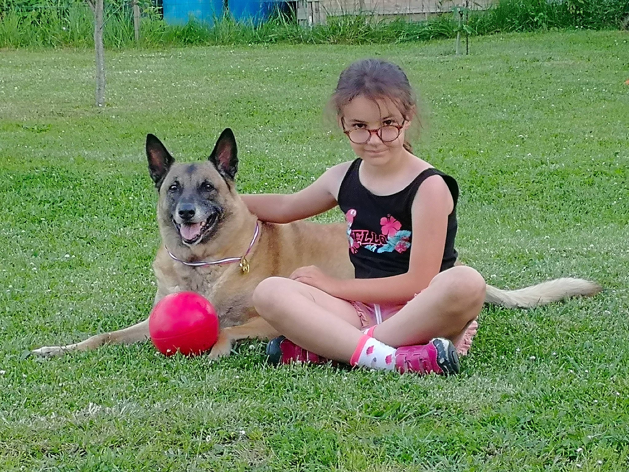 Leïla a rejoint le concours — aidez-le/la à gagner de superbes lots ! canidae, carnivore, companion_dog, dog, dog_breed, dog_sports, dog_supply, fawn, grass, happy, head, lap, lawn, leisure, person, plant, recreation, sitting, sporting_group, thigh