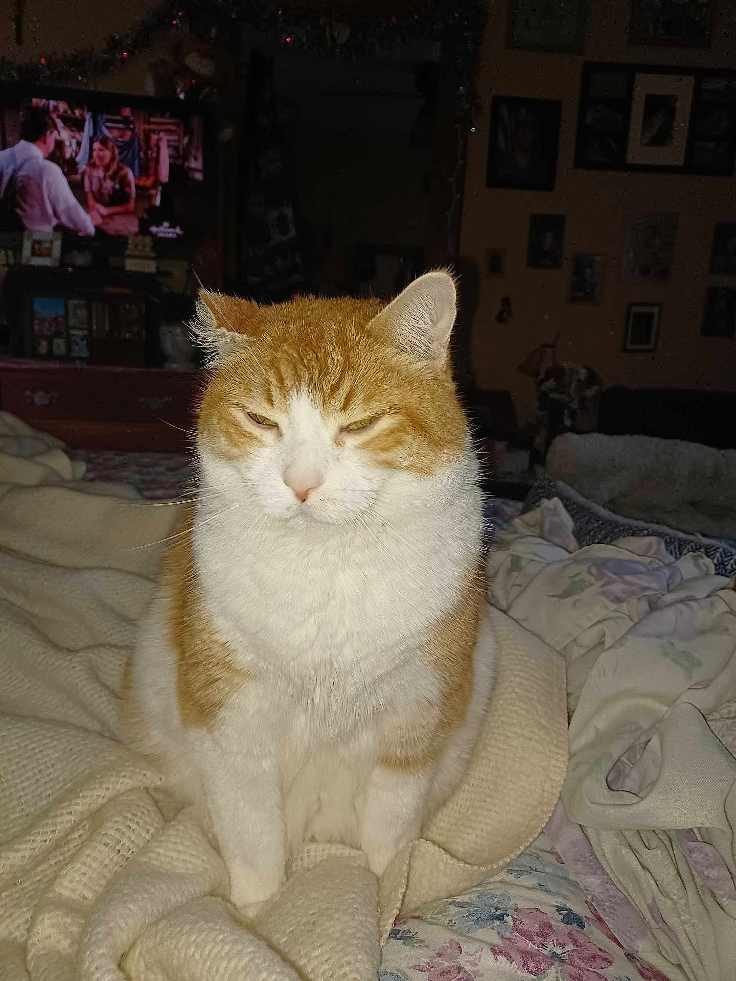 Eddie