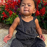 Ryver is registered to the contest to win money with this photo: baby, child, toddler, portrait, sitting, outdoor, garden, flowers, red_flowers, polka_dot_dress, black_clothing, pink_bow, curly_hair, facial_expression, serious, cute, hands, pavement, plants, photography