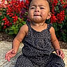 baby, child, toddler, portrait, sitting, outdoor, garden, flowers, red_flowers, polka_dot_dress, black_clothing, pink_bow, curly_hair, facial_expression, serious, cute, hands, pavement, plants, photography