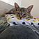Nala