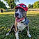 Tyson