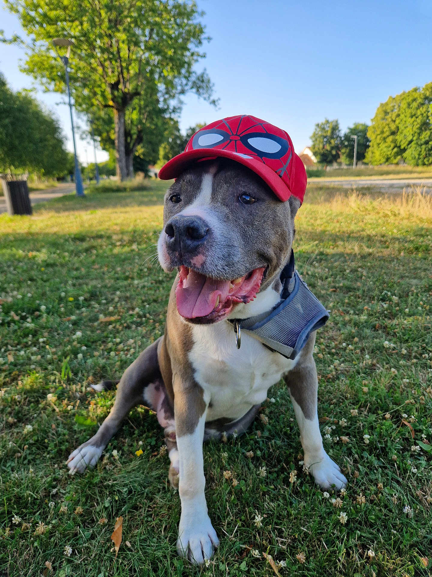 Tyson
