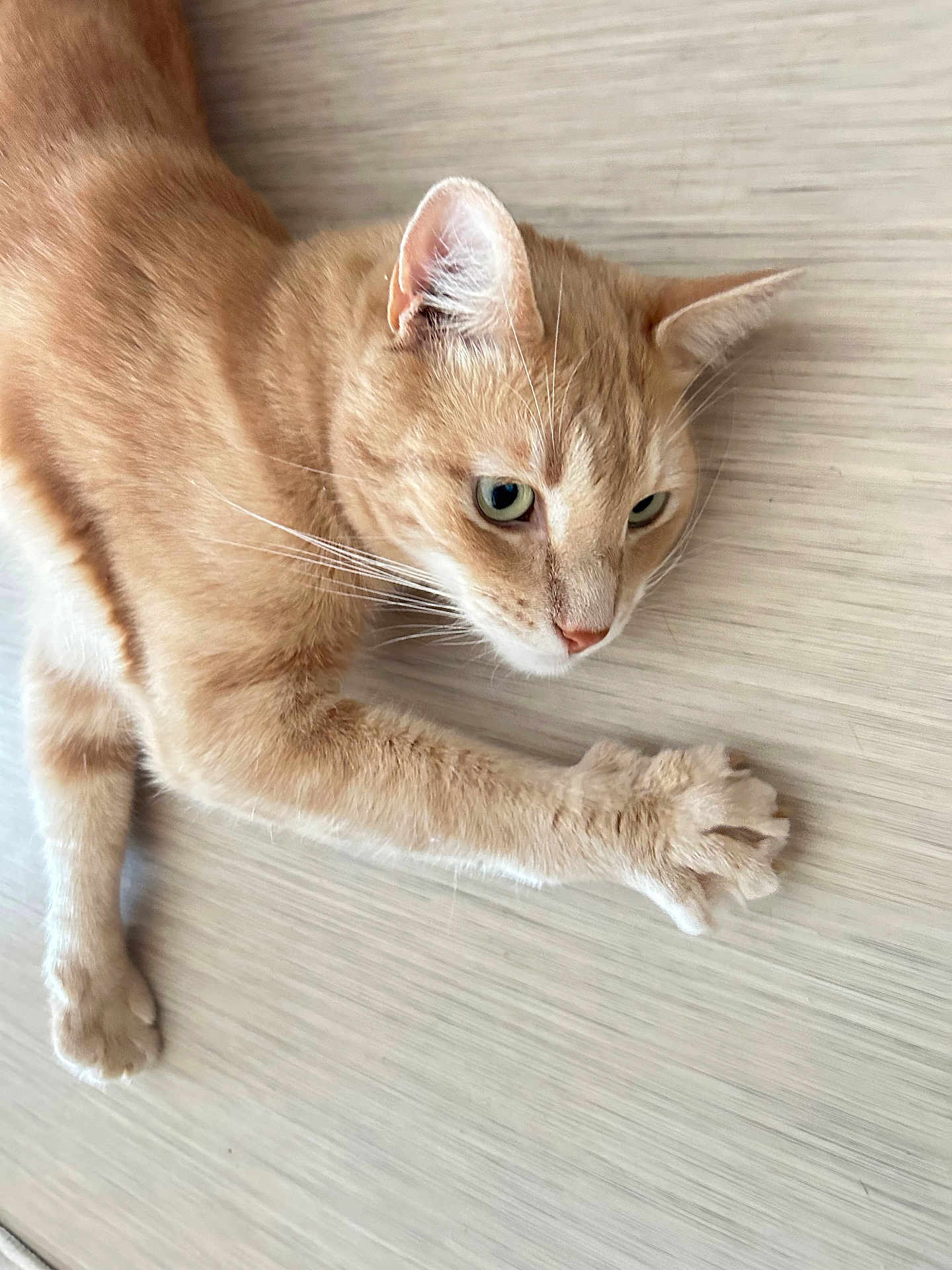 Caramel