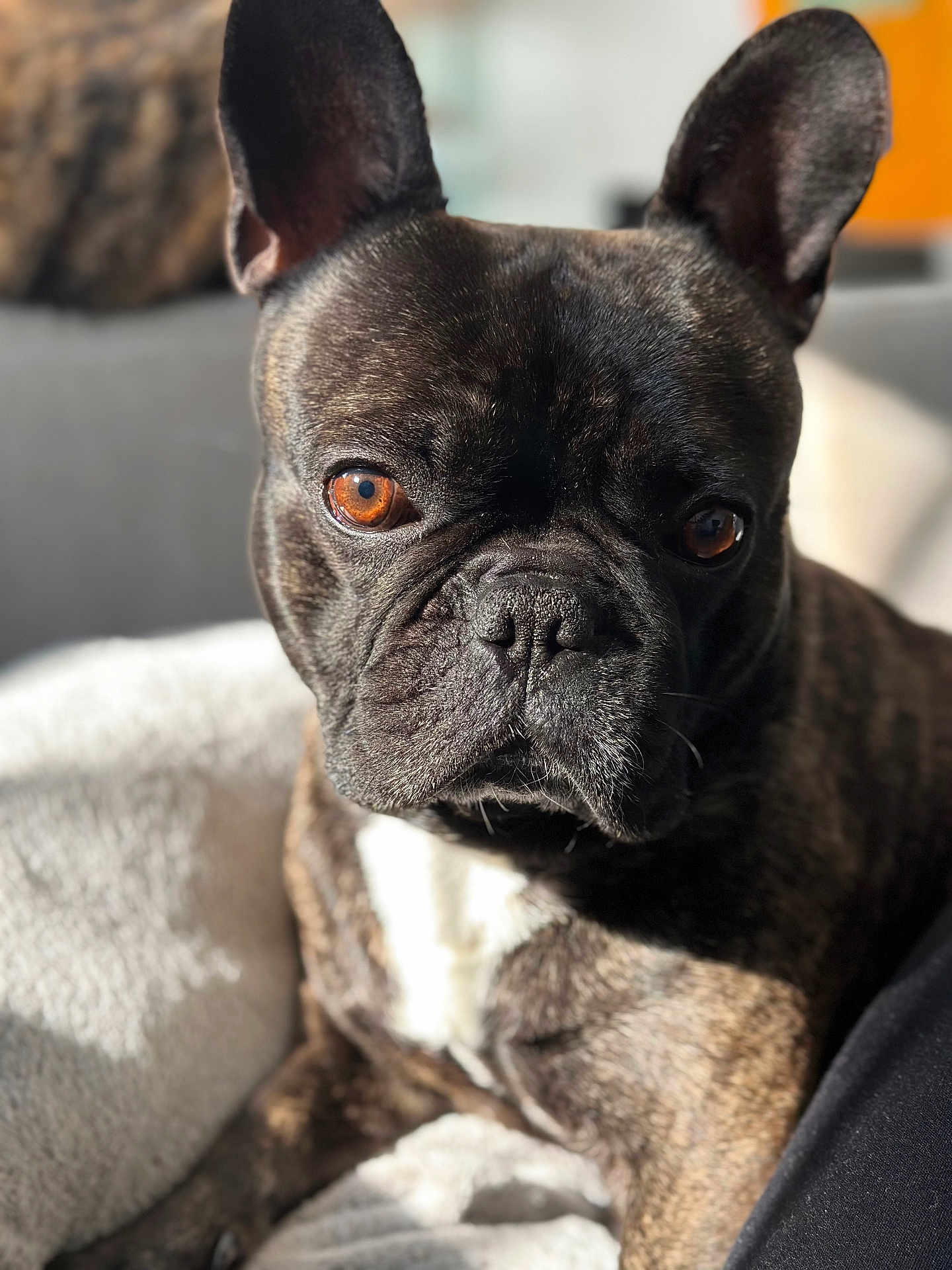 Oz