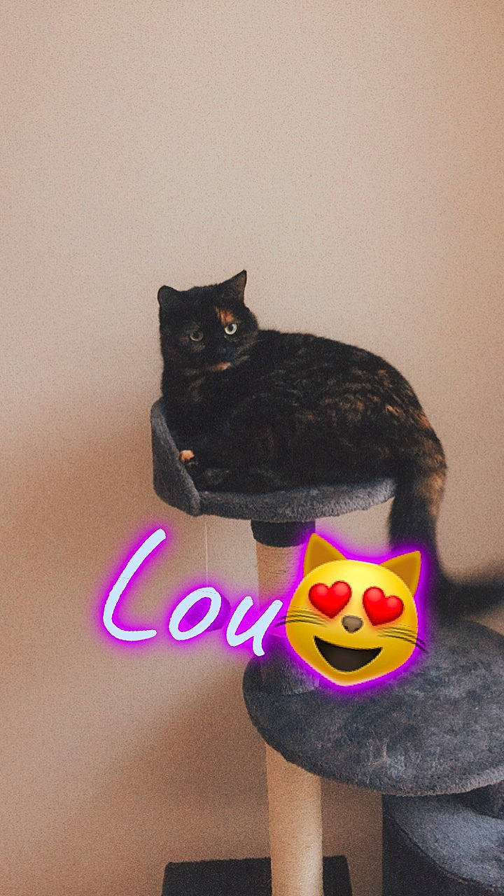 Lou