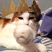 Mitzye participe au concours pour gagner de l'argent avec cette photo :