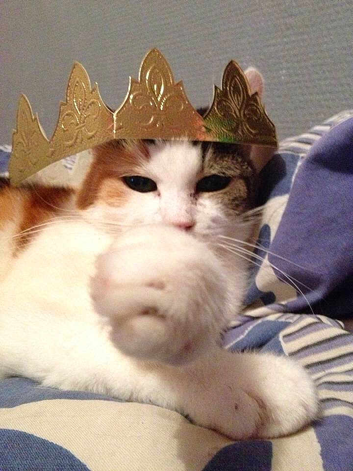 Mitzye