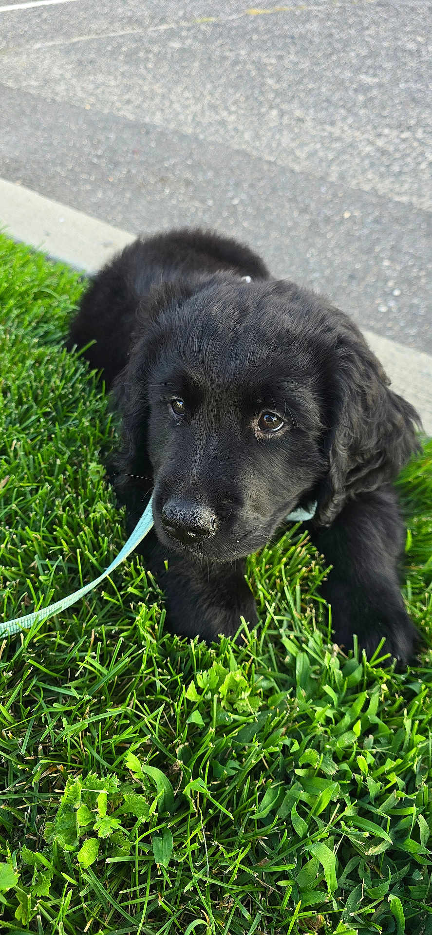 Rambo