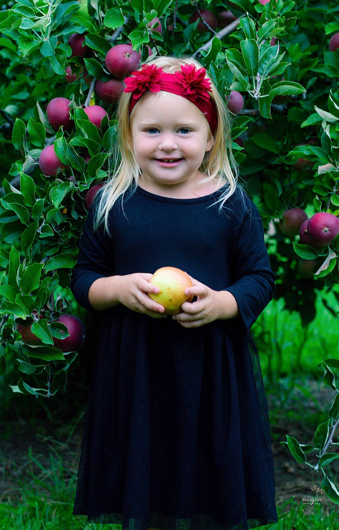 Izabelle is registered to the contest to win money with this photo: apple, blond, botany, child, dress, flower, food, fruit, grass, green, joy, malus, person, photo_shoot, pink, plant, red, rose_family, smile, toddler