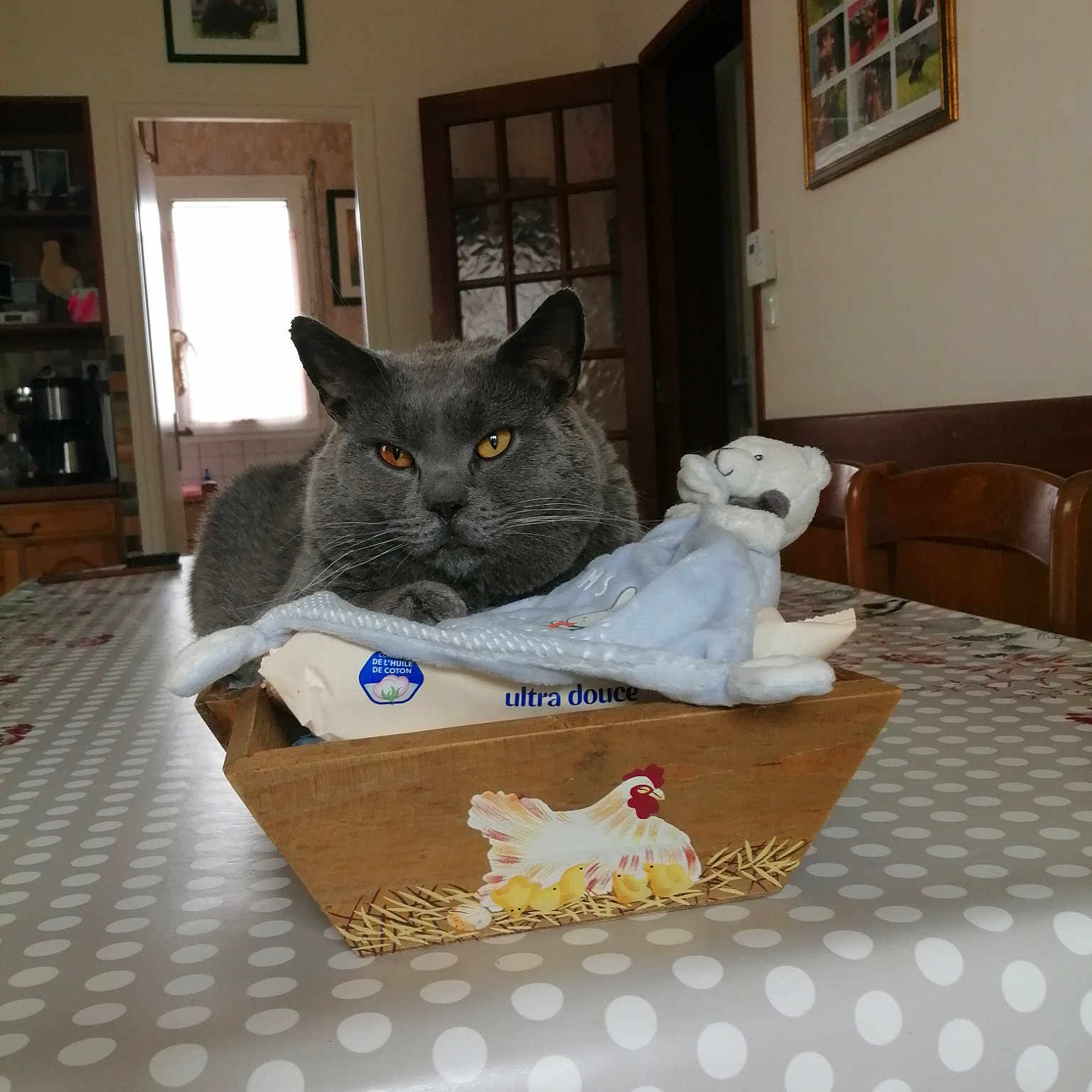 Norman