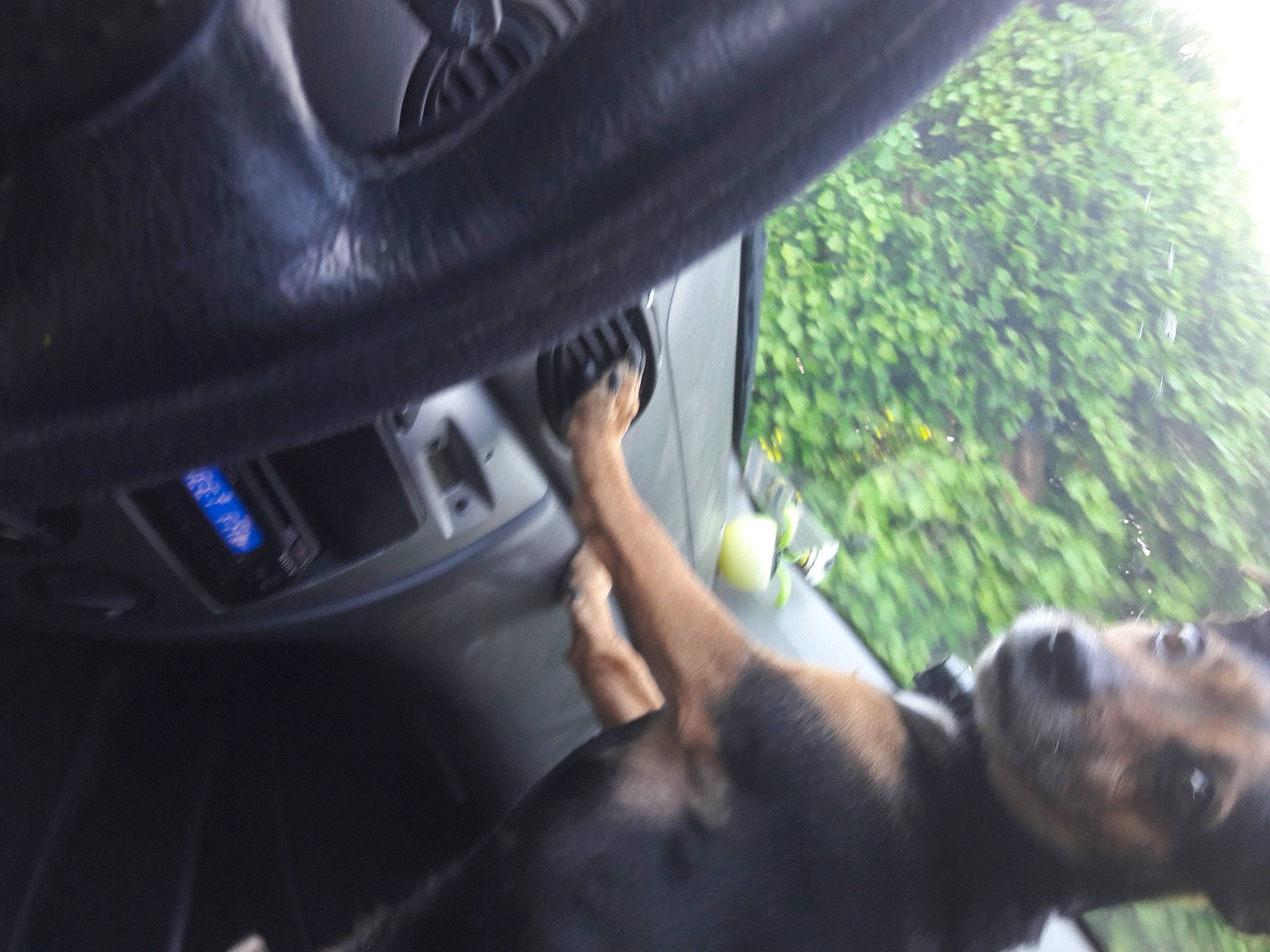 Fluck a rejoint le concours — aidez-le/la à gagner de superbes lots ! auto_part, automotive_design, automotive_exterior, automotive_lighting, automotive_mirror, automotive_tire, bumper, car, family_car, motor_vehicle, personal_luxury_car, plant, primate, rear_view_mirror, steering_wheel, tree, vehicle, vehicle_door, window, windshield