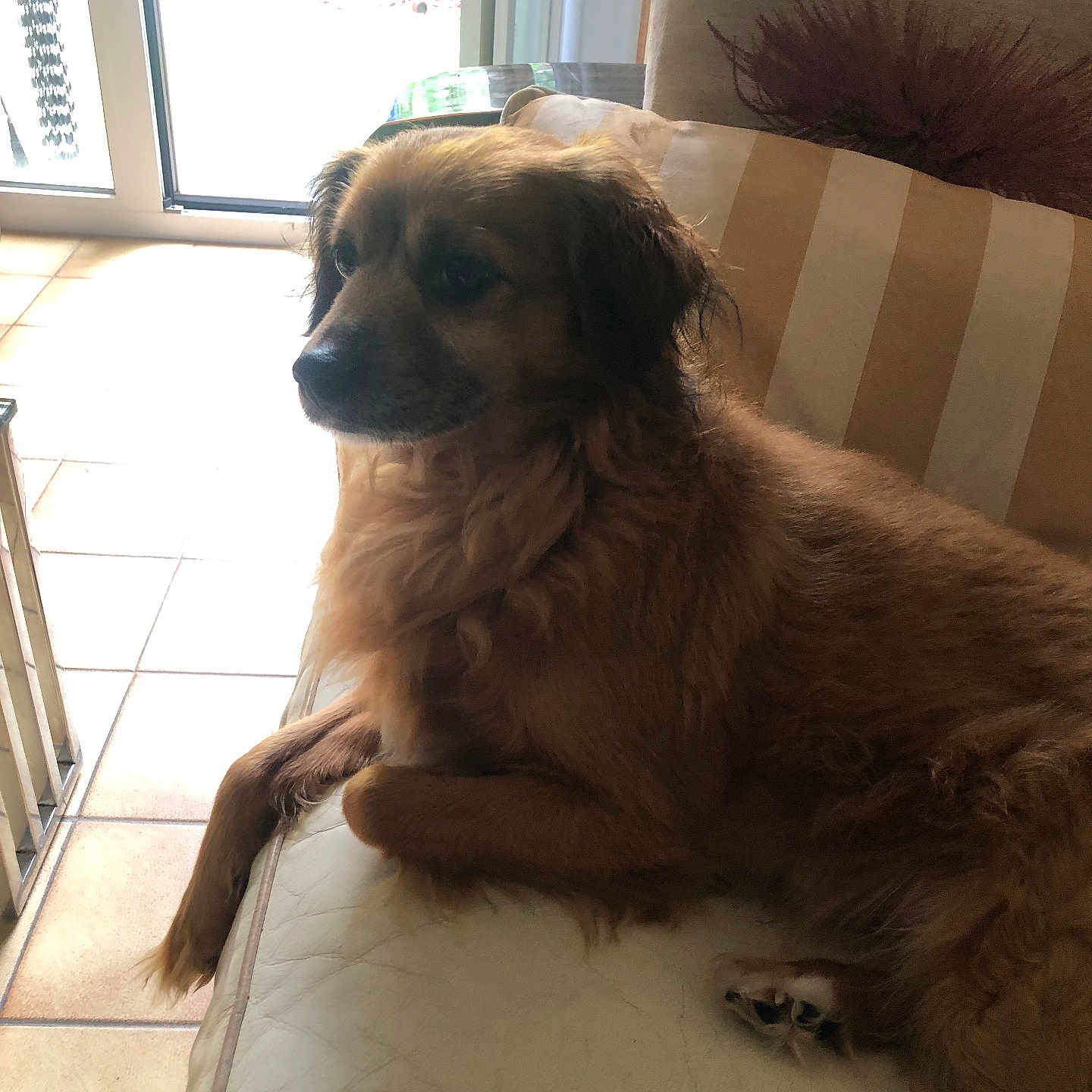 Leo