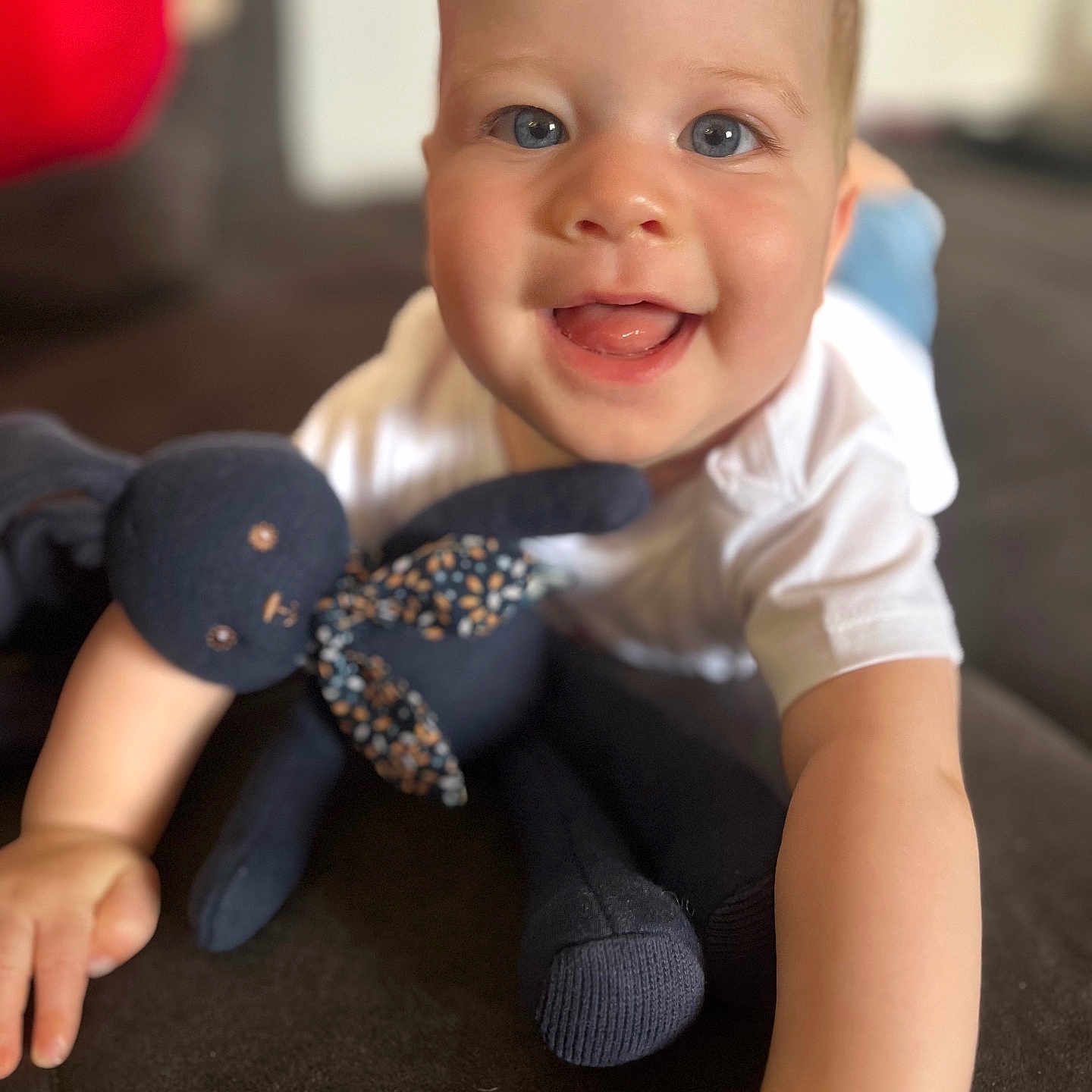 Maïlo