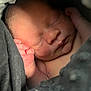 newborn, baby, sleeping, hand, face, blanket, soft, skin, peaceful, closeup, wrapped, infant, cute, tiny, resting, cozy, portrait, indoors, warm_light, delicate