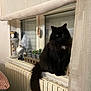 cat, black_cat, fluffy, windowsill, radiator, curtain, indoor, decor, gnome, potted_plants, white_patch, feline, pet, animal, cozy, home, soft_lighting, window, fur, sitting