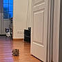 kitten, cat, wooden_floor, door, indoor, home, window, blue_light, furniture, small_pet, animal, floor, door_handle, white_door, room, household_items, relaxing, pet, cozy, quiet