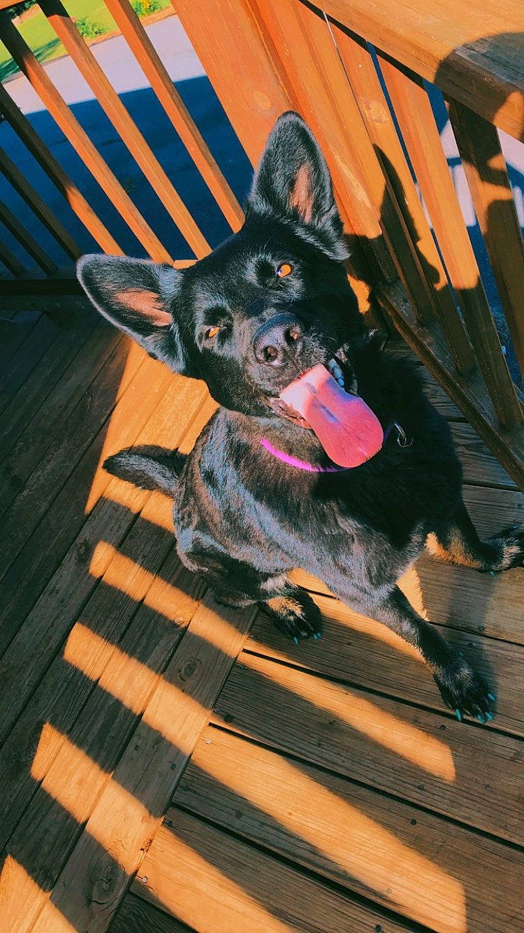 Ana is registered to the contest to win money with this photo: