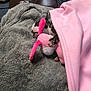 dog, puppy, blanket, stuffed_toy, pink, gray_blanket, couch, leather, snuggling, sleeping, paw, soft_texture, indoor, resting, cute, cozy, toy, pet, fur, relaxing