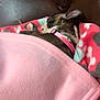 Dolly is registered to the contest to win money with this photo: puppy, dog, sleeping, blanket, pink, collar, couch, fleece, cozy, resting, pet, indoor, brown, white, fur, animal, comfort, cute, relaxation, snuggled