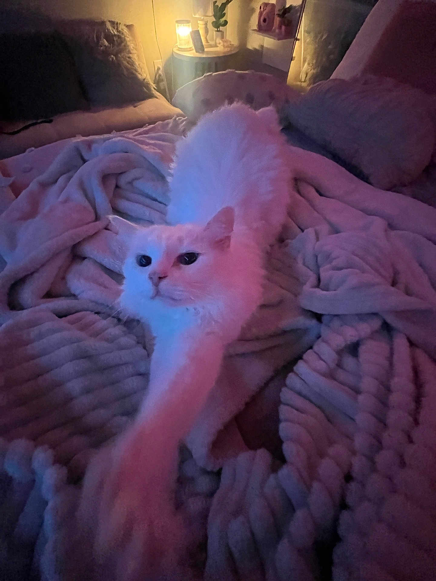 Princess Aurora