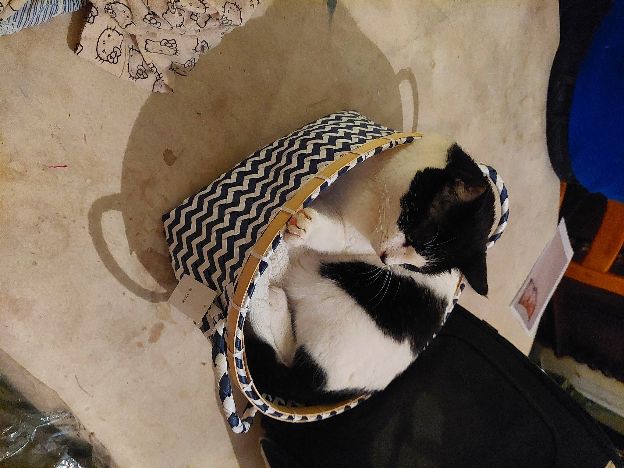 Juno a rejoint le concours — aidez-le/la à gagner de superbes lots ! art, black_hair, costume_hat, dress, eyelash, eyewear, fashion_accessory, fashion_design, feather, fur, hair_accessory, hairstyle, headgear, headpiece, linens, monochrome_photography, pattern, personal_protective_equipment, vision_care, whiskers