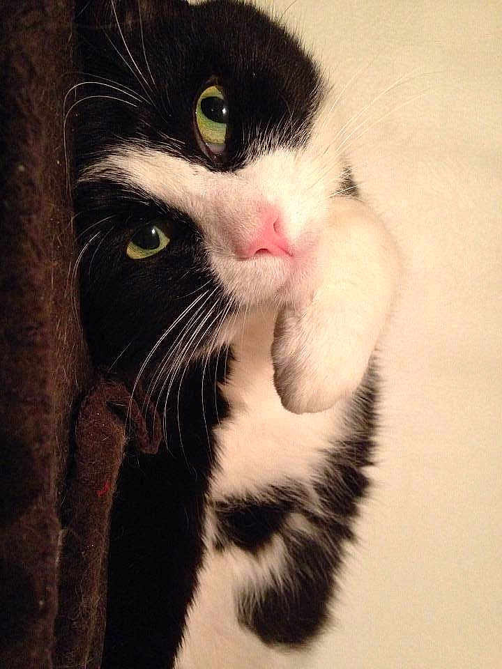 J'appuie