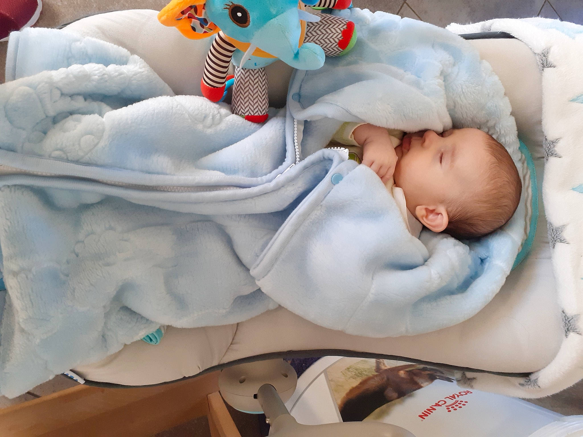 Ezekiel a rejoint le concours — aidez-le/la à gagner de superbes lots ! baby, baby_products, baby_safety, baby_sleeping, baby_toddler_clothing, baby_toys, bedding, bedtime, carmine, child, comfort, infant_bed, linens, nap, person, room, skin, sleep, textile, toddler