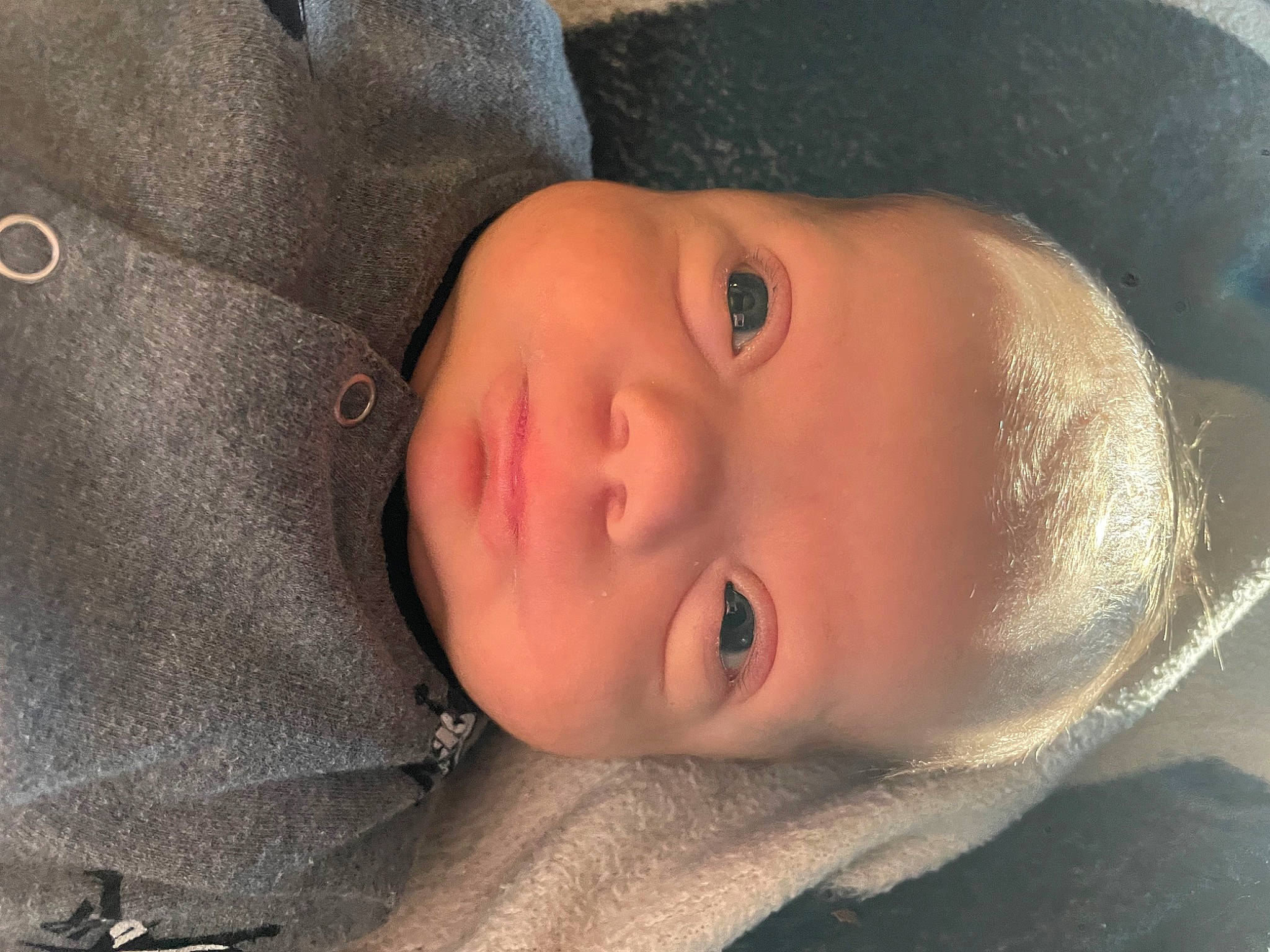 Kash joined the competition — help win amazing prizes! baby, cheek, child, comfort, ear, eye, eyebrow, eyelash, flash_photography, fur, head, headgear, iris, lip, mouth, nose, person, portrait_photography, skin, sleeve