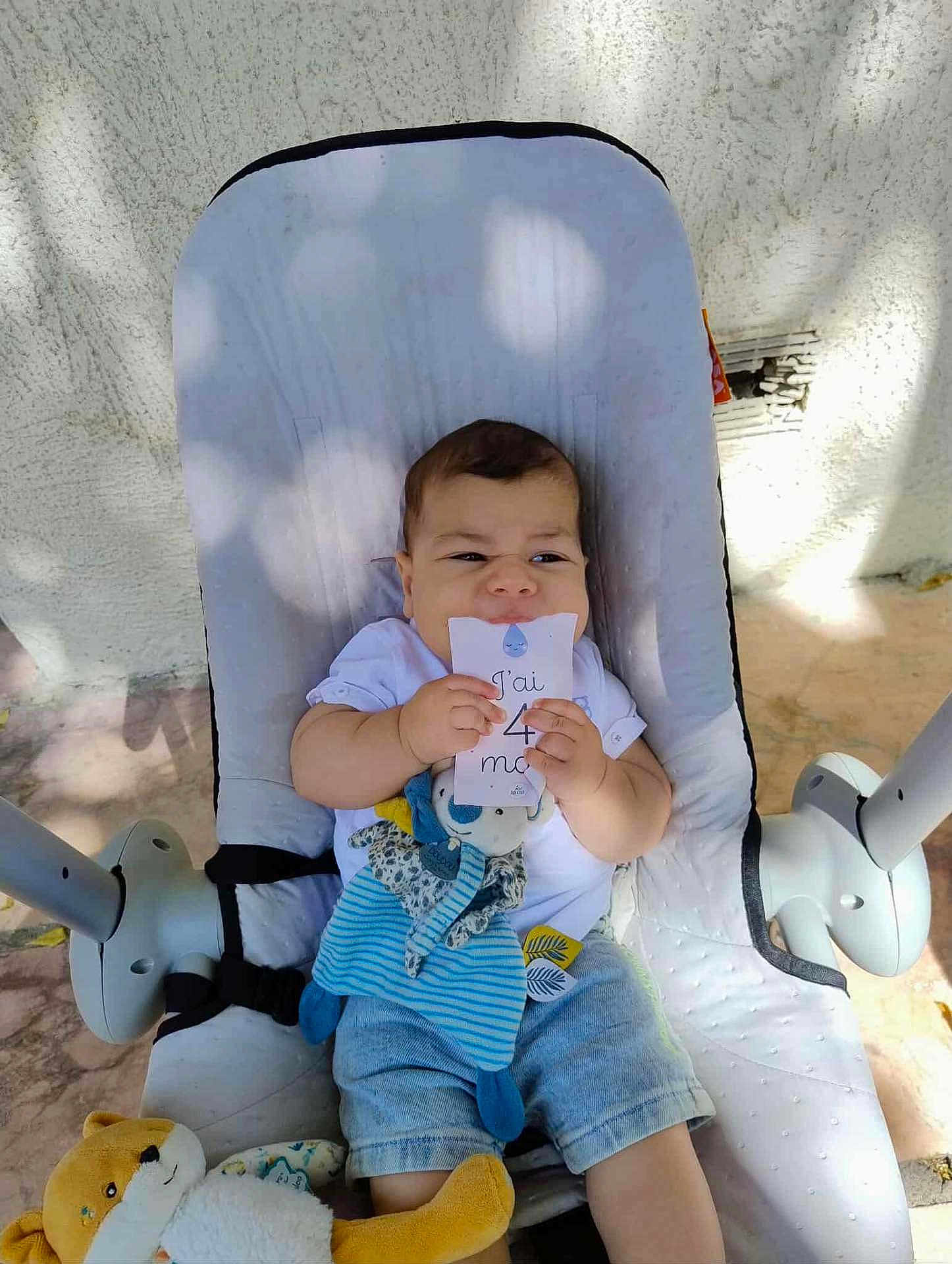 Yassine participe au concours pour gagner de l'argent avec cette photo : baby, infant, baby_seat, plush_toy, outdoor, sunlight, shadow, card, holding, cute, child, clothing, shorts, white_shirt, face, expression, toy, comfort, seat, playful
