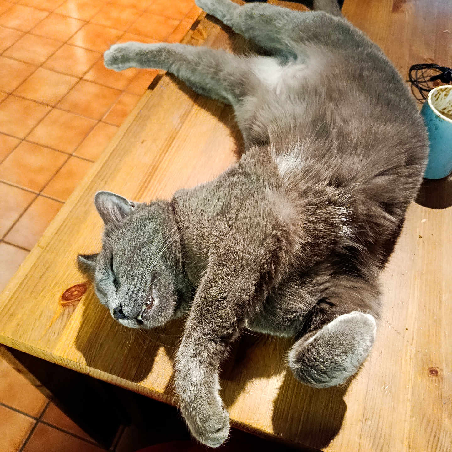Chico