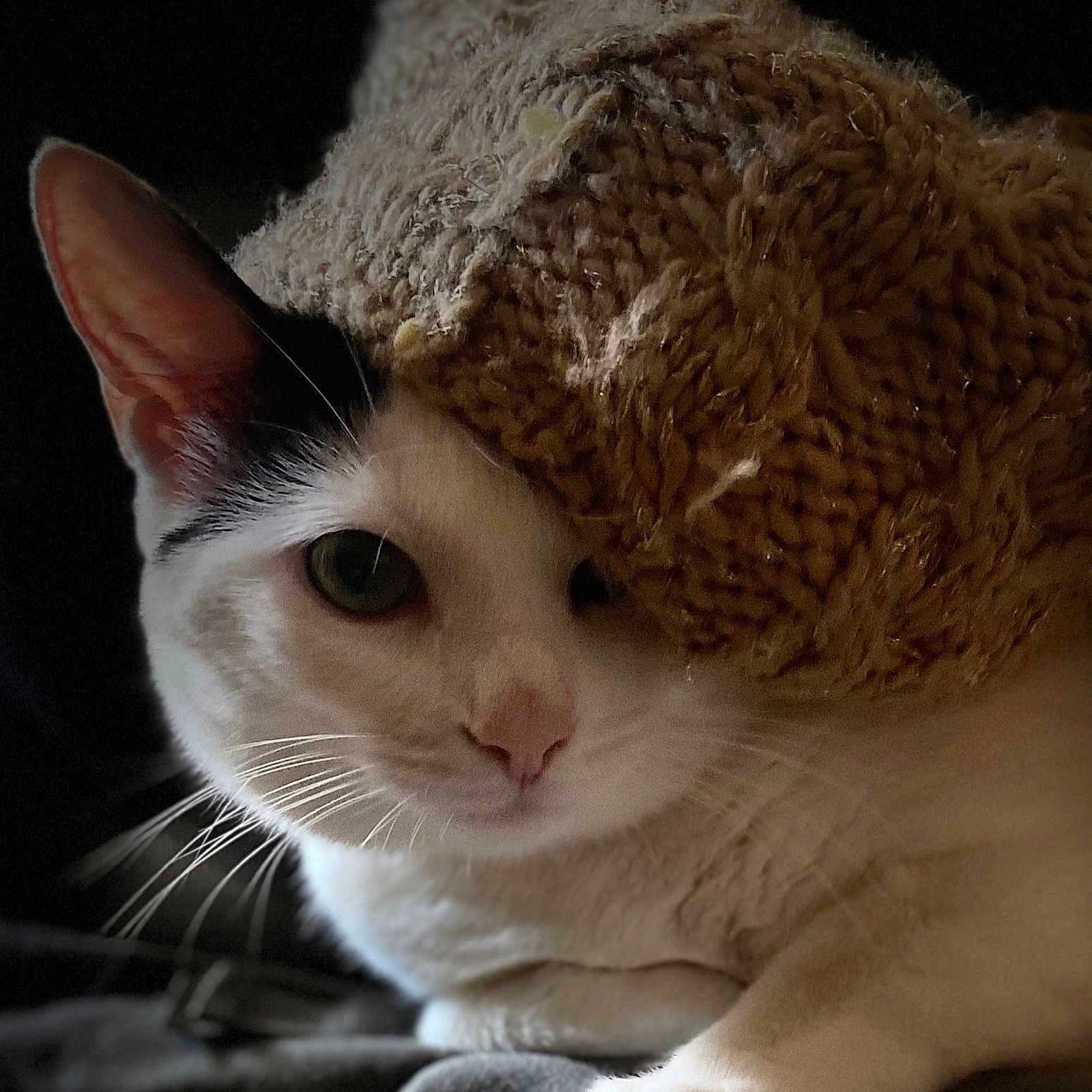 Rixy