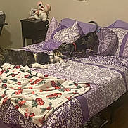 Addie May is registered to the contest to win money with this photo: dog, bed, blanket, pillow, stuffed_animal, nightstand, playful, indoor, patterned, purple, tug_of_war, pet, animal, floor, wooden_floor, decor, painting, room, collar, toy