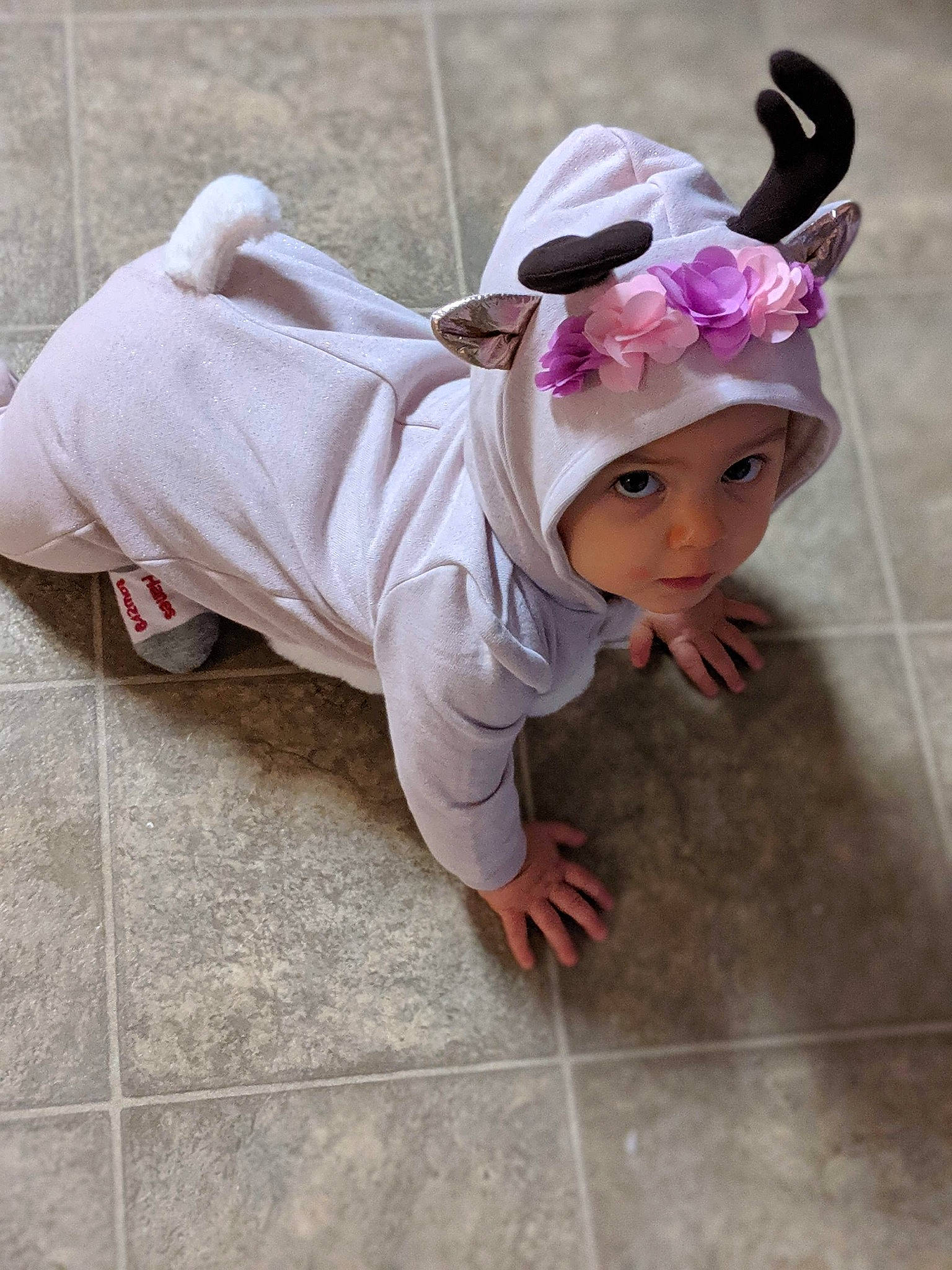 Adeline joined the competition — help win amazing prizes! child, costume, floor, flooring, headwear, person, pink, toddler