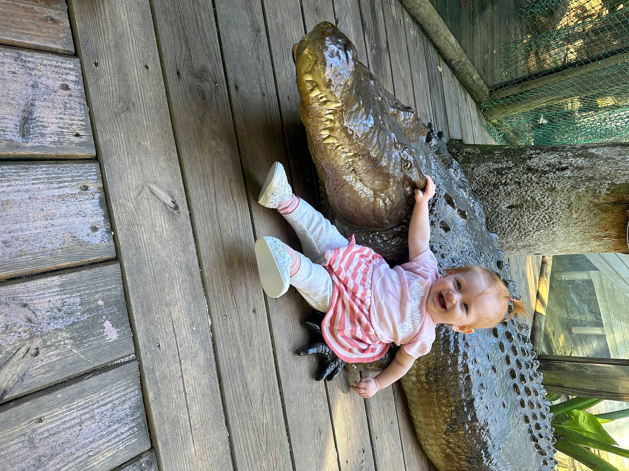 Paige is registered to the contest to win money with this photo: child, crocodile, flip_flops, foot, fun, hardwood, joy, leisure, lumber, person, plant, python, python_family, recreation, reptile, rope, sandal, sitting, toddler, tree