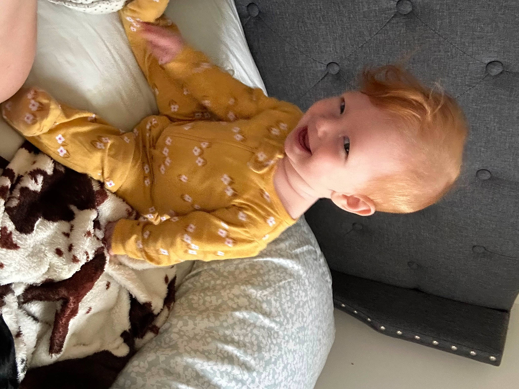 Paige is registered to the contest to win money with this photo: baby, blond, cheek, child, comfort, finger, fun, fur, hand, human_body, lap, person, room, sitting, smile, toddler, tree, wood