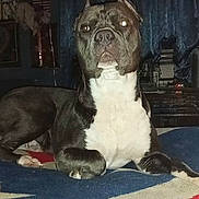 Diesel joined the competition — help win amazing prizes!