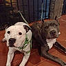 Diesel joined the competition — help win amazing prizes!