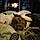 Atticus