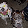 Atticus is registered to the contest to win money with this photo:
