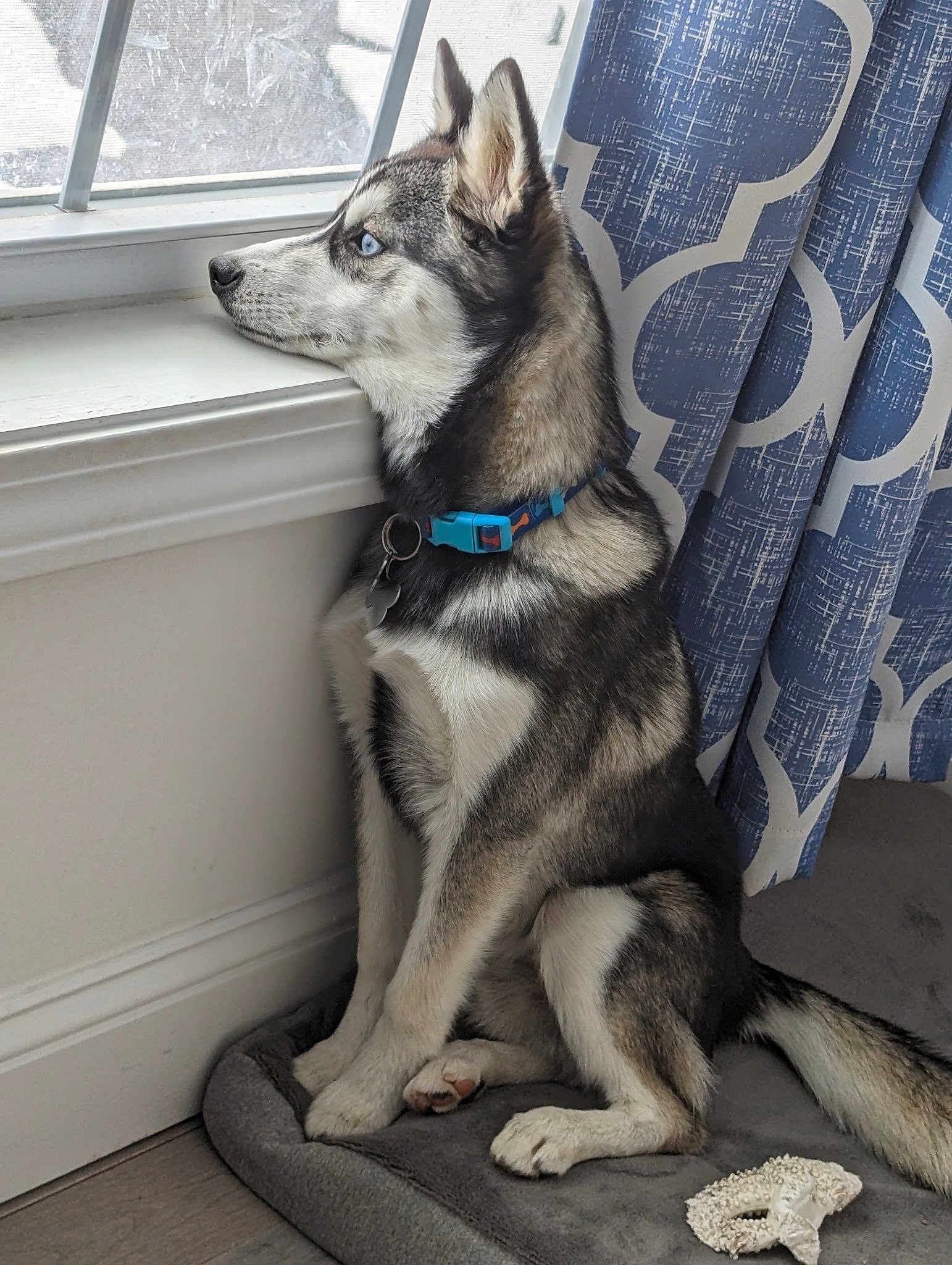 Kai