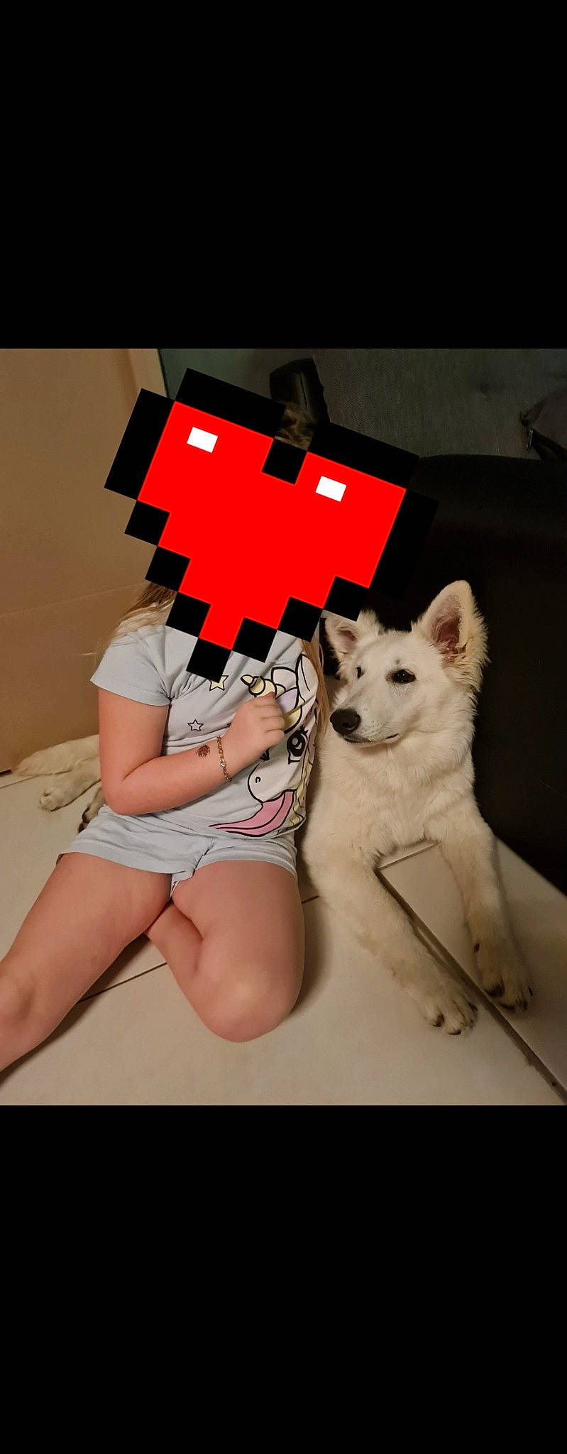 Sirah participe au concours pour gagner de l'argent avec cette photo : canidae, carmine, carnivore, companion_dog, dog, dog_breed, fictional_character, font, fur, human_leg, knee, non_sporting_group, pattern, shorts, spitz, sportswear, t_shirt, thigh, top, undergarment