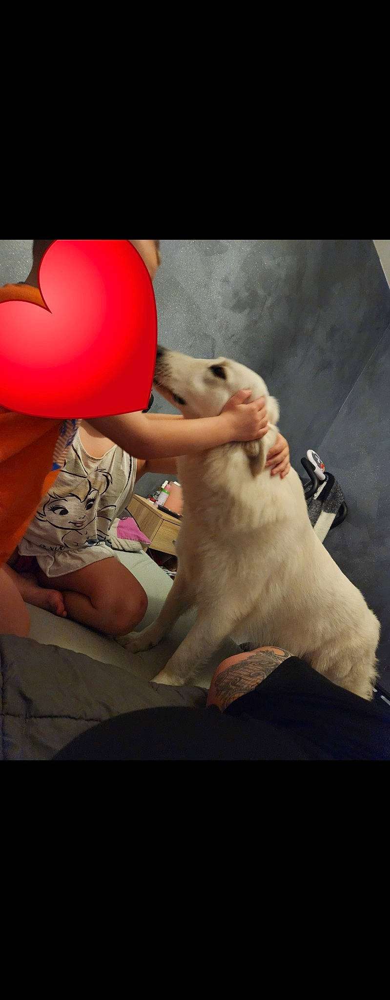 Sirah a rejoint le concours — aidez-le/la à gagner de superbes lots ! abdomen, balloon, canidae, carnivore, child, companion_dog, dog, dog_breed, fawn, felidae, flash_photography, fun, fur, gesture, happy, love, sitting, sporting_group, toddler, toy